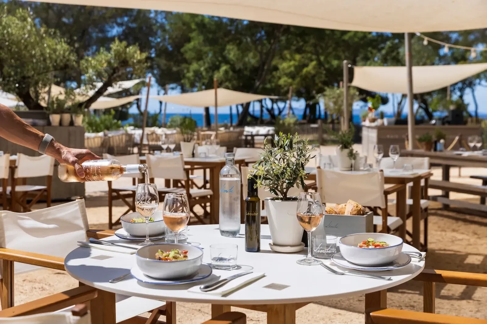 Café Léoube (Château Léoube), Bormes-les-Mimosas, France: площадка для мероприятий