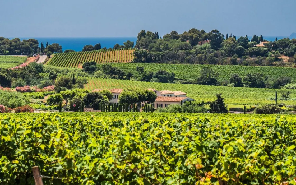Domaine de la Croix, La Croix-Valmer, France: площадка для мероприятий