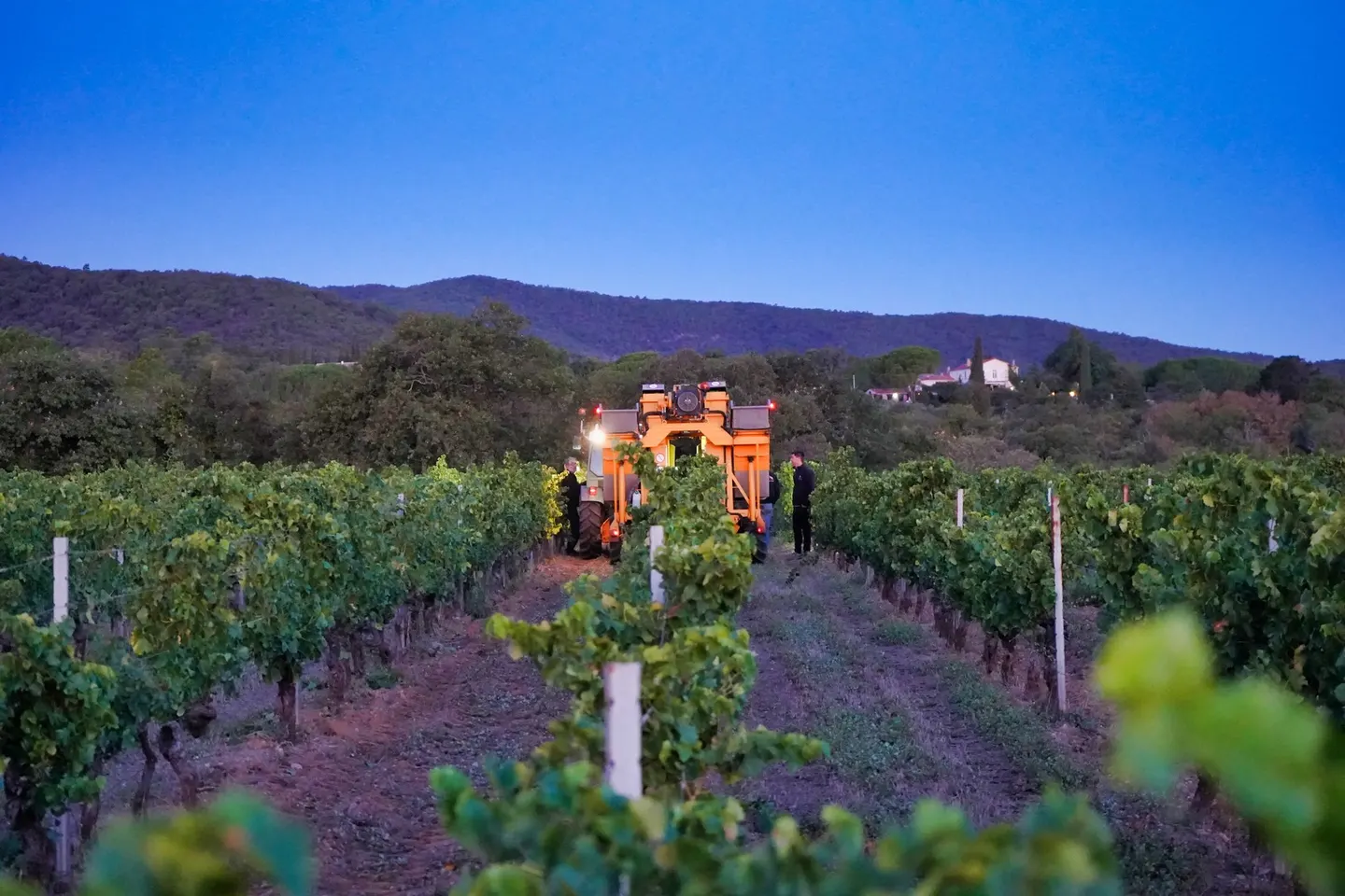 Domaine des Planes, Roquebrune-sur-Argens, France: площадка для мероприятий